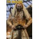 The Warlord 1/6 Scale Collectible Action Figure